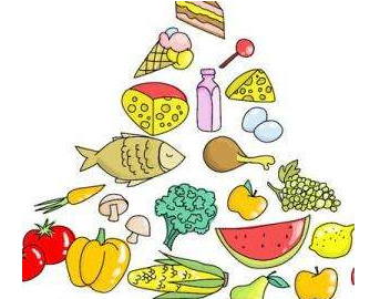 關于發布《全國青少年兒童營養膳食行動計劃（2019-2023年）》的通知