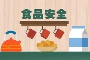 國務院食品安全辦有關負責人就2019年食品安全重點工作安排答記者問