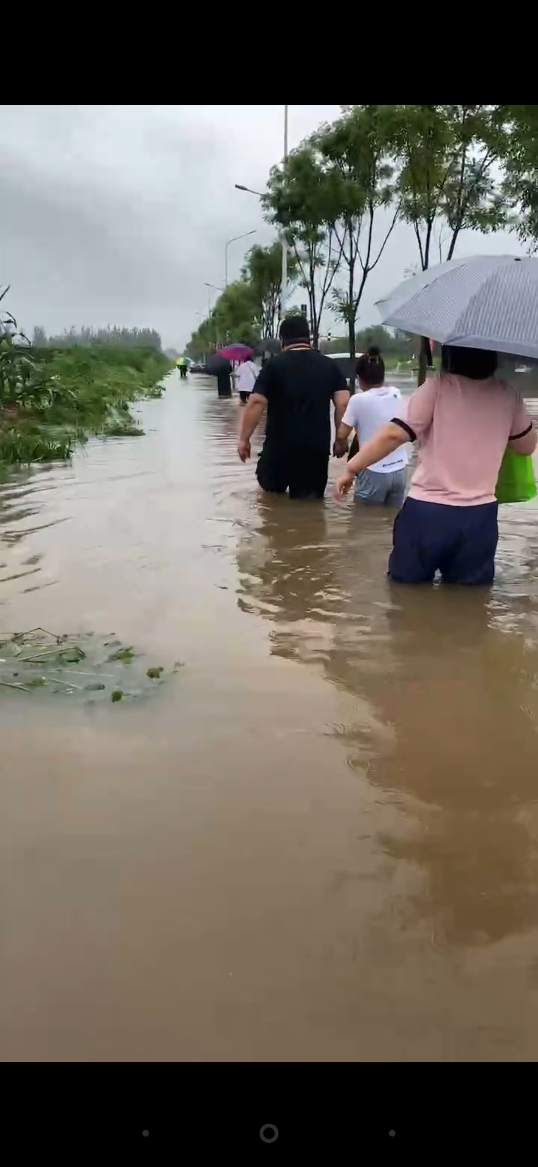 風雨前行，無懼無悔——沈陽大區汛期一線工作記實